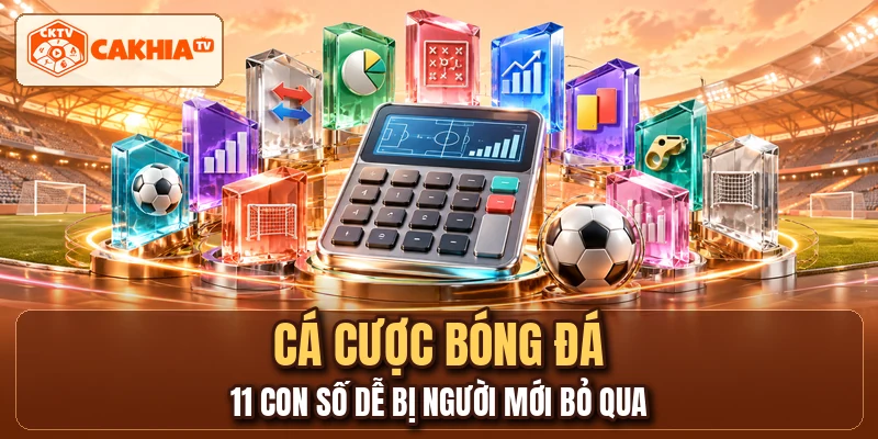 Cá Cược Bóng Đá - 11 Con Số Dễ Bị Người Mới Bỏ Qua